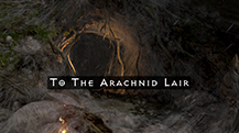 Arachnid Lair Farming Guide