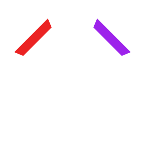 Octagon 1 477 X 506