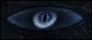 Eyes 1